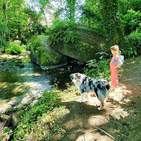 Dom wakacyjny Maison Cosy Renovee - Puy Du Fou