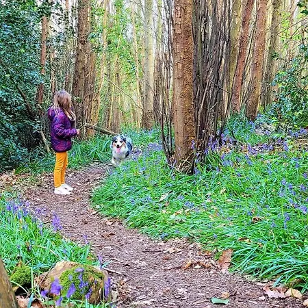 Maison Cosy Renovee - Puy Du Fou